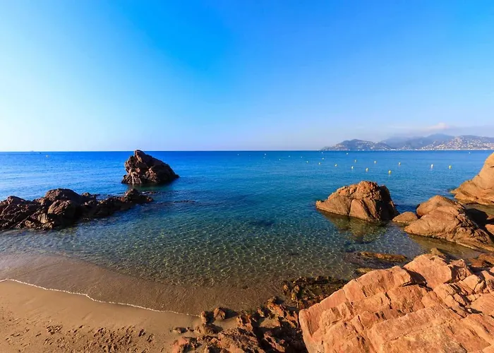 Appartement pieds dans la mer, piscine, parking